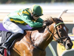 Adam Durrant praises Johnston-Porter ahead of Natasha Stakes