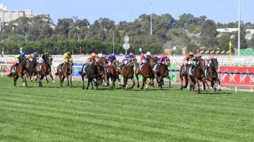 Flemington-500x280.jpeg