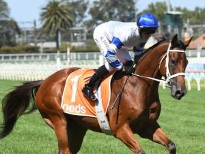Kolding to bounce back in All-Star Mile