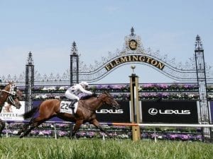 WFA sprints next on radar for Sunlight