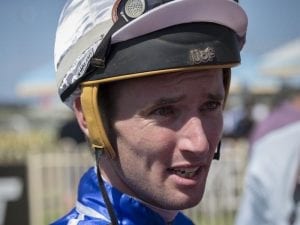 Plumb picks up late win on Gold Coast