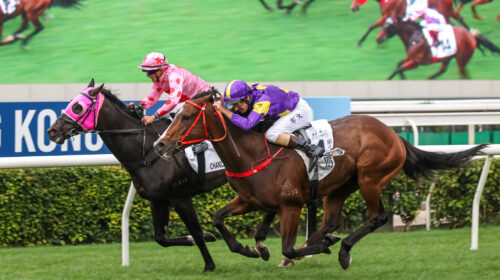 Hellios-Express-Hong-Kong-Classic-Cup-sc