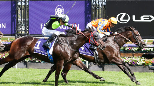 Imperatriz-Lightning-Stakes-scaled-1-500