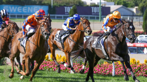 Imperatriz-William-Reid-Stakes-scaled-1-