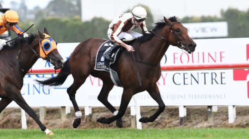 Legarto-Herbie-Dyke-Stakes-1-500x280.jpe