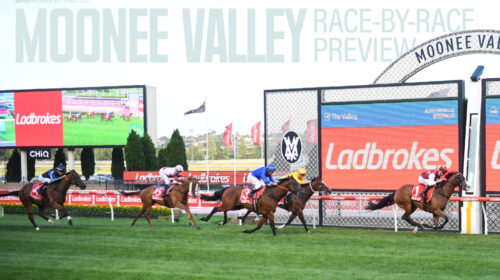 Moonee-Valley-Race-by-Race-Preview-500x2