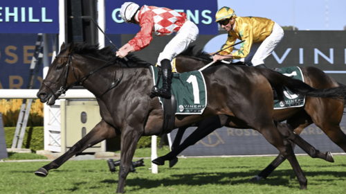 Orchestral-Vinery-Stud-Stakes-500x280.pn