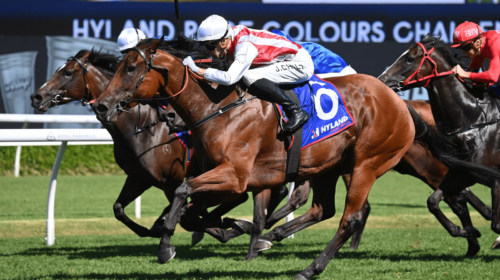 Passive-Aggressive-Challenge-Stakes-500x