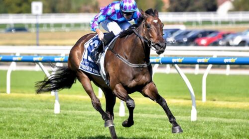 Pride-Of-Jenni-All-Star-Mile-1-500x280.j