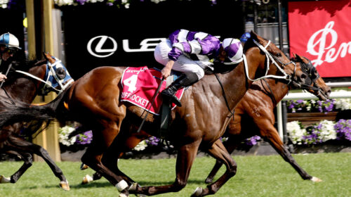 RiffRocket-20231104-8771-scaled-2-500x28