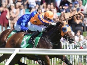 NZ filly Avantage wins in Rosehill return
