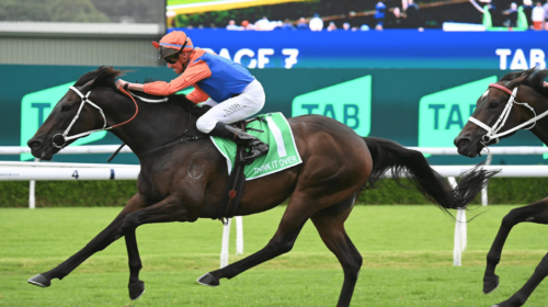 Think-It-Over-Verry-Elleegant-Stakes-1-5