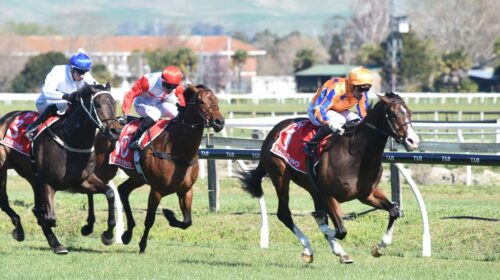 Tokyo-Tycoon-Peter-Rubery-RIPN-500x280.j