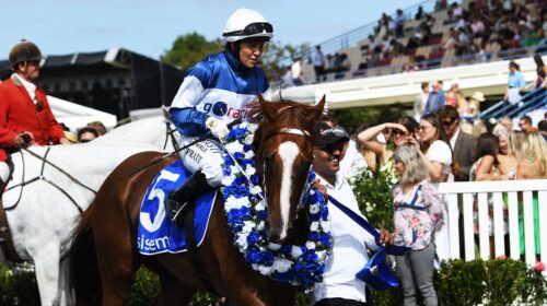 Velocious-Sistema-Stakes-500x280.jpeg