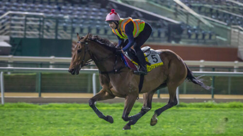 Voyage-Bubble-Meydan-scaled-1-500x280.jp