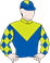 Yellowbrick Road Adelaide Cup silks