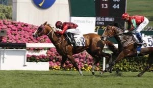 Eagle Way wins in Hong Kong