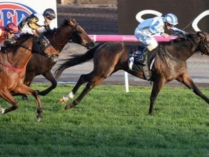 Brisbane campaign kick starts at Bendigo