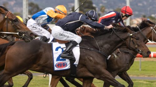 Bold-Soul-Chairmans-Stakes-scaled-1-500x