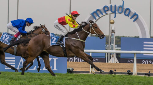 California-Spangle-Al-Quoz-Sprint-scaled