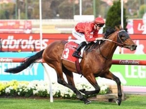 Danny O'Brien impressed by Iconoclasm