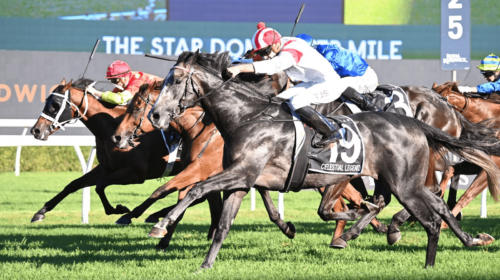 Celestial-Legend-Doncaster-Mile-500x280.