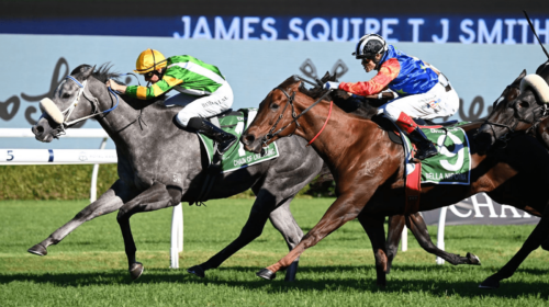 Chain-of-Lightning-TJ-Smith-Stakes-500x2