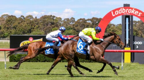 Detonator-Jack_10-12-2022_WIN_Sandown_5_