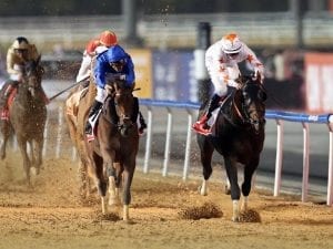 RB Money To Burn stays unbeaten after claiming Al Ain Sprint