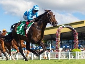 Push to upgrade BRC Sires' Produce Stakes