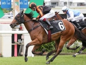 Oh Five working towards Eagle Farm glory