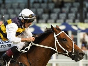 Blake Shinn has task on Le Juge