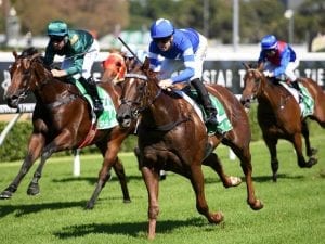 Deep Sea to get experience at Eagle Farm