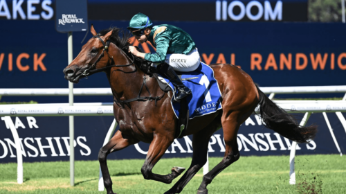 Espionage-Kindergarten-Stakes-500x280.pn