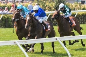 No juvenile G1 clean sweep for Godolphin