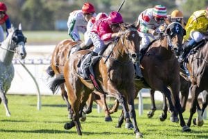 Northam Stakes preview, odds and betting strategy | WA 2/5