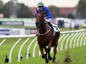 Jameka entered for National Broodmare sale