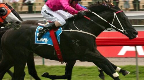 Gallops_Lonhro_4-3_17715307_1983772_2019