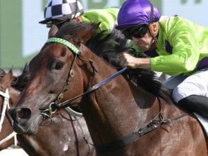 Nakeeta Jane to run in G1 Coolmore Legacy