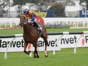 Nature Strip wins Randwick trial