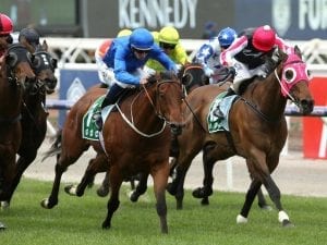 Field of 14 for Group One All Aged Stakes