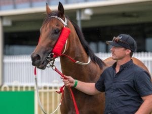 Queensland zone restrictions