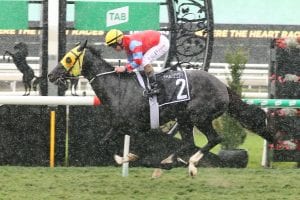 Georgie's Pride Makes It A Hat-Trick At Rain Affected Eagle Farm