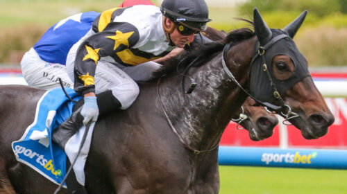 Here-To-Shock-Victoria-Handicap-scaled-1