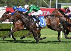 Manaal Favoured in Wide-Open Champagne Stakes 2024