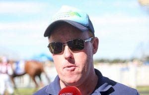 Warrnambool Cup aim for Granddukeoftuscany