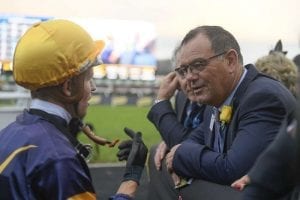 Top dog Tribal Wisdom bound for Brisbane