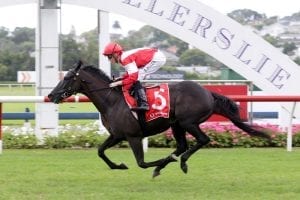 Two in-form Derby chances for major NZ player