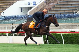 Neasham back for more Hong Kong glory