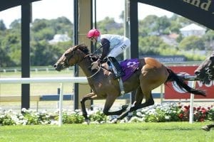 Queensland awaits Moroney-Gerard runners